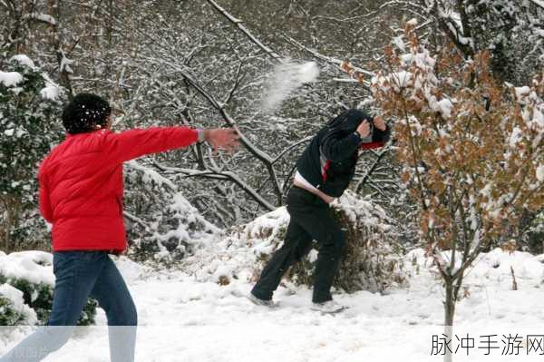 打雪仗游戏风靡来袭，解锁冬日里的休闲新乐趣！