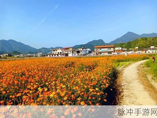 海风谣，编织你的浪漫田园梦