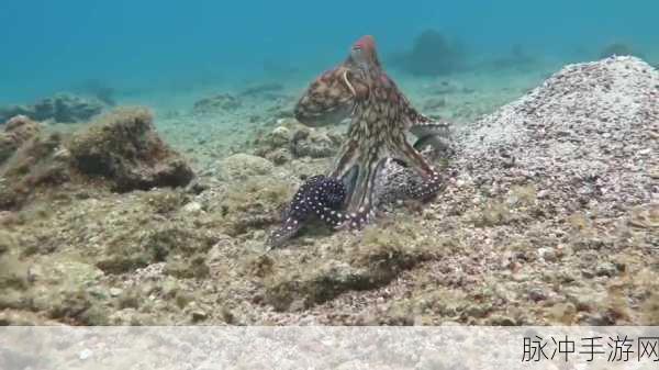 探秘深海冒险,愤怒章鱼带你嗨翻横版闯关新纪元