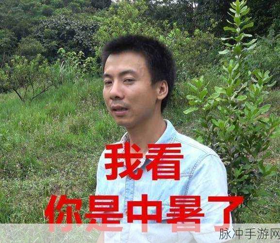 中暑的竹鼠活下去,经典小游戏焕发新生,挑战你的生存智慧
