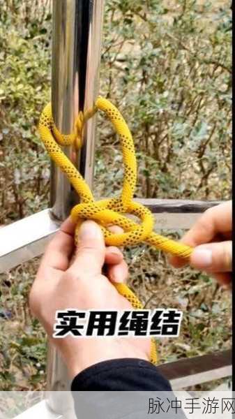 挑战指尖智慧,解锁绳结新境界 ——我解绳结贼溜游戏下载指南