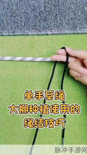 挑战指尖智慧,解锁绳结新境界 ——我解绳结贼溜游戏下载指南