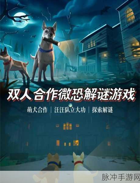 冬日奇遇，天天打雪仗游戏，解锁休闲冒险新乐趣！