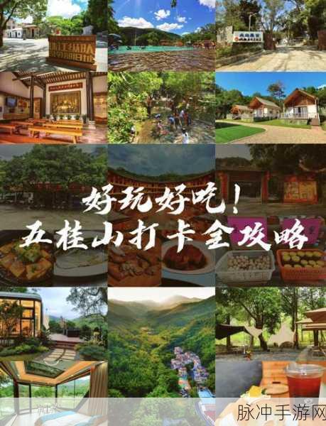 梦幻修仙新纪元,谈笑江湖——战斗与逍遥并存的奇妙之旅
