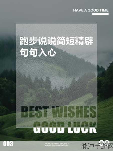 健康奔跑,风靡指尖的趣味休闲新选择