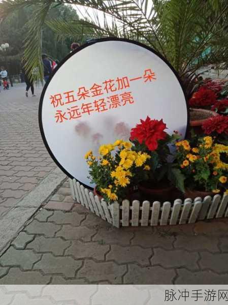 五花连朵v1.0.8,经典玩法遇上创新主题,益智新体验等你来探索