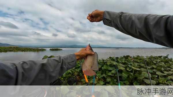 钓鱼大师2022，静谧湖畔的休闲垂钓之旅