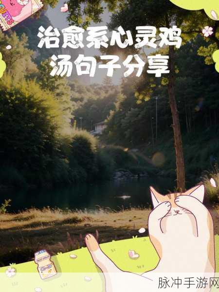我的心事兔,萌化心灵的治愈系休闲养成新体验