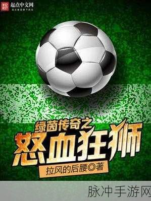 绿茵传奇,打造你的足球帝国,经营竞技两不误