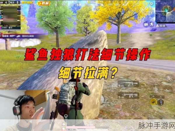 双人鲨鱼求生,挑战你的极限反应,最新版下载现已开启!