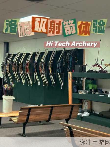 Archery King最新版震撼上线,射箭射击乐趣无穷