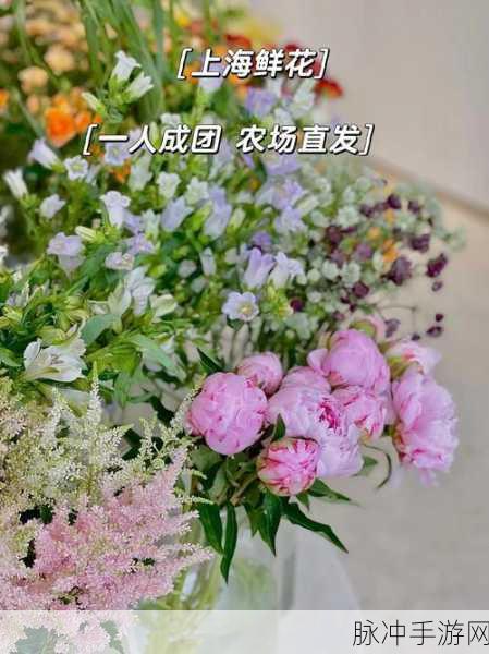 鲜花农场红包版火爆上线,养花也能赚大钱!