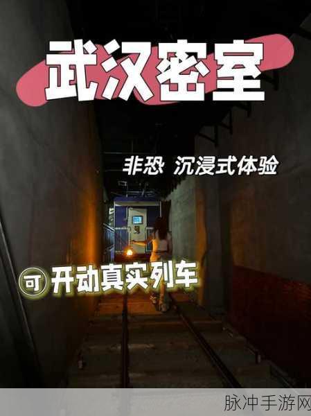 Mitoza手机版震撼登场,解锁密室逃脱的极致冒险之旅