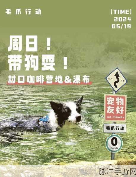 狗狗喷气背包冒险，解锁趣味数字，畅享休闲闯关之旅