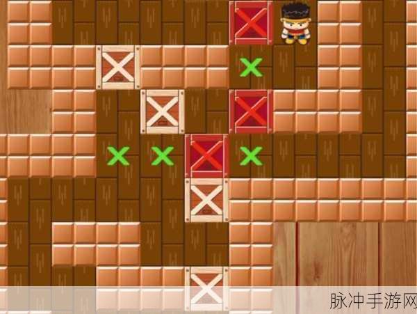 华丽推箱子,经典益智新体验,下载开启智慧之旅
