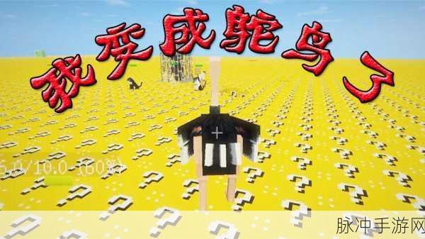 鸵鸟淘汰赛,方块世界的3D休闲益智新体验