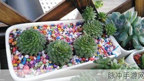 苏多农场红包版,种植乐趣与收益并存的休闲新选择