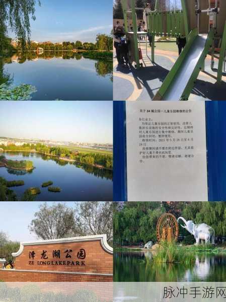 大连公园里30元一次:1. 大连公园:30元体验独特的拓展活动