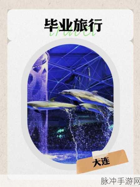 大连公园里30元一次:1. 大连公园:30元体验独特的拓展活动