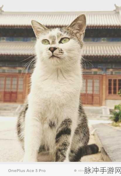 萌宠合成新风尚，幸运小狗陪你欢乐无限