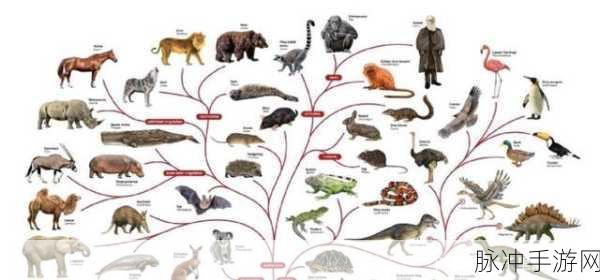 超级生物进化跑酷,解锁你的生物升级之旅