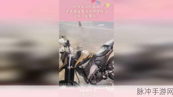火影女忍者测试耐力最新版本更新内容：基于火影女忍者测试耐力最新版本更新：全新挑战与角色技能揭秘
