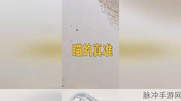 17c吃瓜:1. 17c吃瓜背后的真相与内幕分析