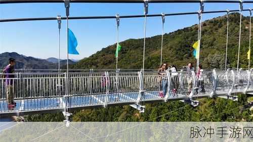 搭个桥就跑风靡全网,休闲益智新选择等你来体验
