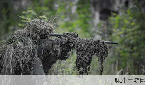 狙击手世界大战,枪林弹雨中的极致射击体验