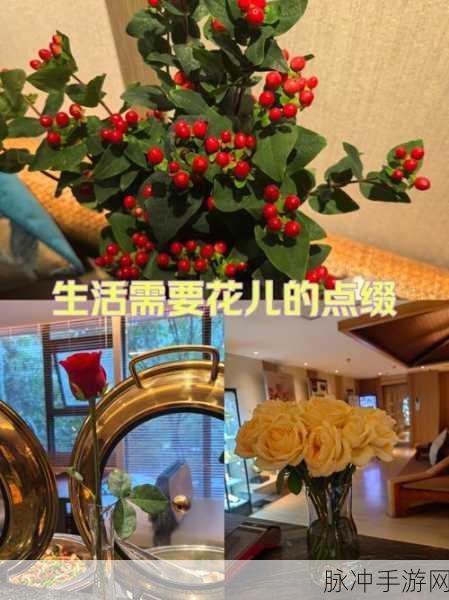 亚洲成品1668：1. 亚洲成品1668：打造全新品质生活的典范
