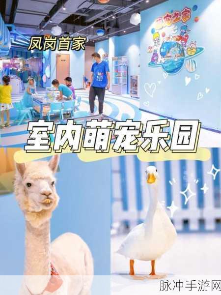 汪汪消消乐，萌宠相伴，消除烦恼的休闲新选择