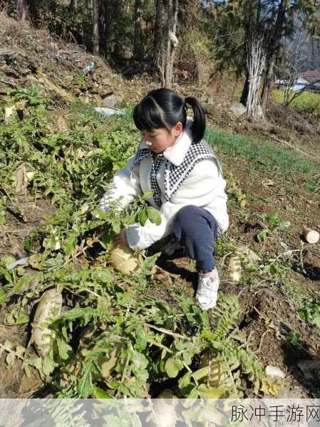拔萝卜在床上:1. 拔萝卜的乐趣:孩子们的床上冒险