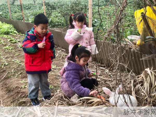 拔萝卜在床上:1. 拔萝卜的乐趣:孩子们的床上冒险