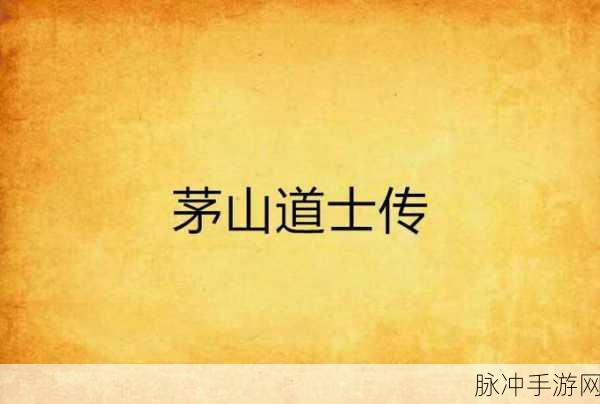 茅山道士传公益服私服探秘,玄幻战斗新纪元
