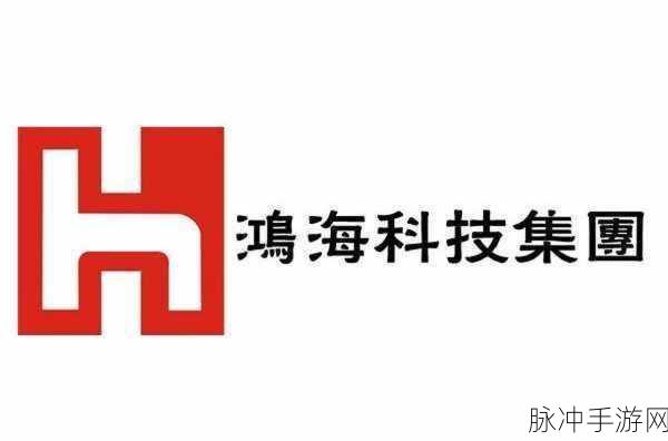 vedanta集团：1. Vedanta集团：引领可持续发展的未来之路