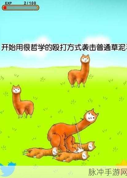 探索哲学与恶搞的奇妙碰撞,兄贵草泥马汉化版养成记