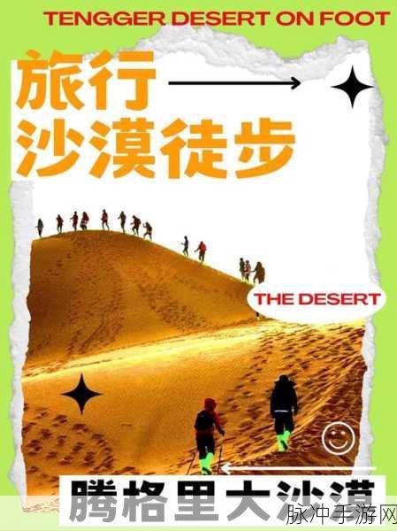人类还有希望吗,一场关乎存亡的模拟冒险之旅