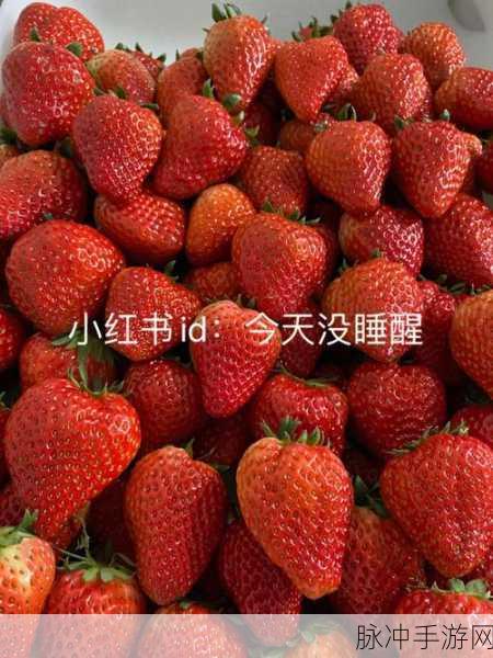 大草莓app无限404：1. 大草莓APP无限404：探索无尽可能的数字世界