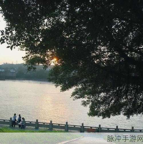www.漾出：1. 漾出：探索生活中的无穷可能性