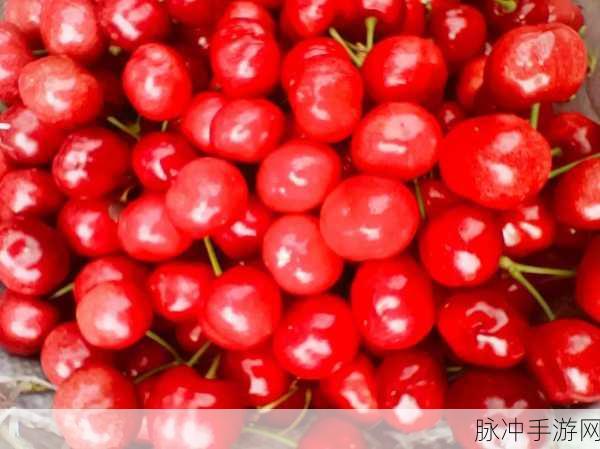 樱桃在线直播：1. 樱桃在线直播：畅享娱乐新体验