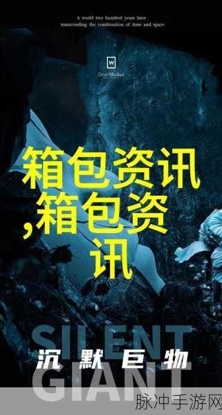 国外b站网站推广:当然可以,以下是一些关于国外B站网站推广的标题建议,每个标题都不少于10个字: