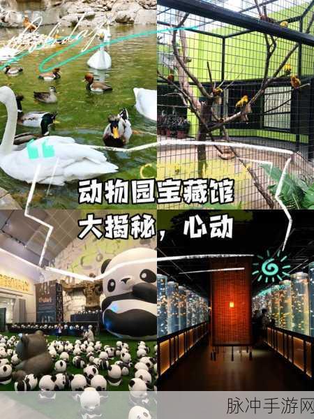 轻松解压新选择,动物园清理游戏,简单休闲等你来体验