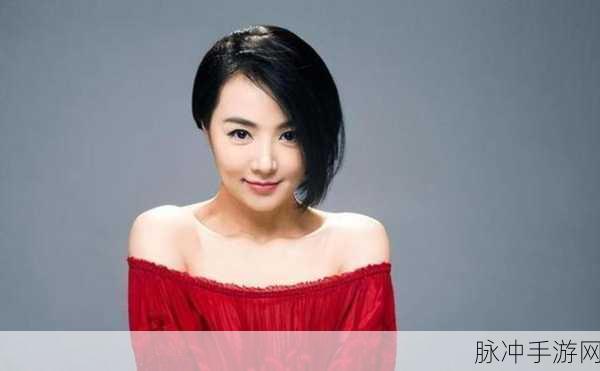 徐海乔现任老婆:徐海乔现任妻子:揭秘她的背景与成就之路