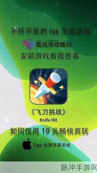 飞刀大挑战全解锁版震撼来袭,休闲动作新体验不容错过!