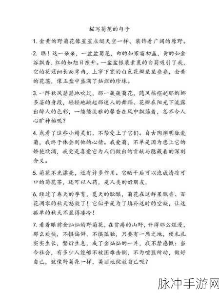 答错一题菊花放一支笔:1. 答错一题,菊花怒放的背后故事