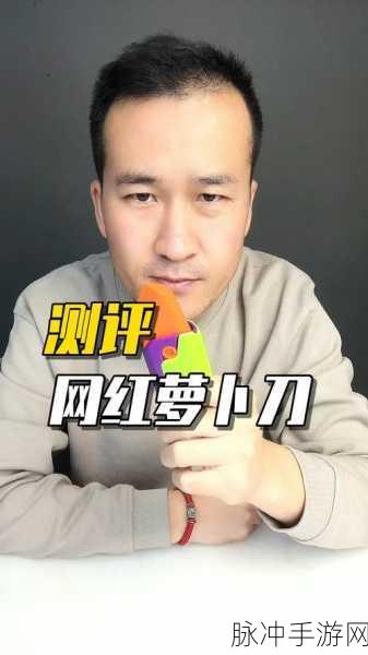 萝卜刀模拟,解锁休闲新乐趣,下载即享切割盛宴