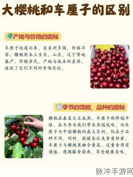 樱桃小视频 在线：1. 樱桃小视频：探索生活中的每一个瞬间
