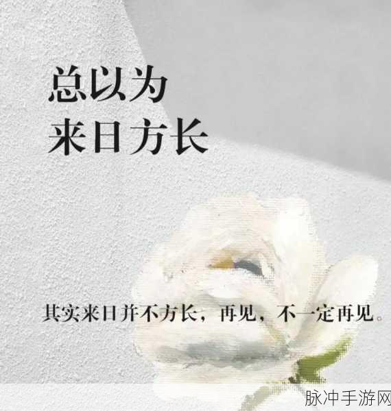 妈妈爱消除,指尖上的休闲时光,消除烦恼新选择!