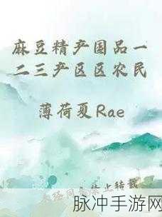 99精产国品一二三产区区别麻豆：1. 解析99精产国品：一二三产区的深度差异