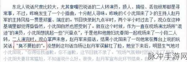 沈阳45岁这声音也没谁了:1. 沈阳45岁:声音背后的故事与人生感悟
